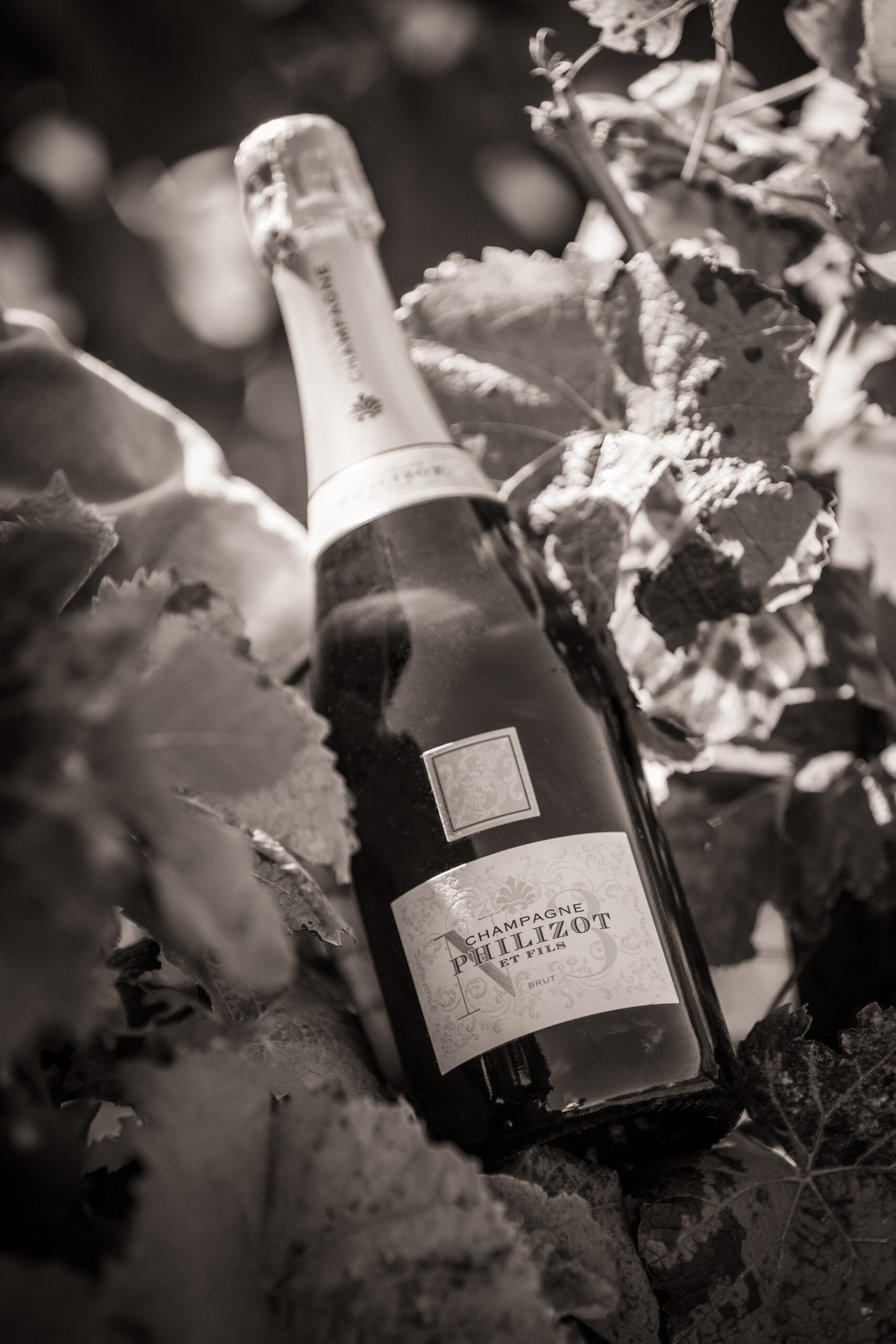 Champagne Philizot et Fils