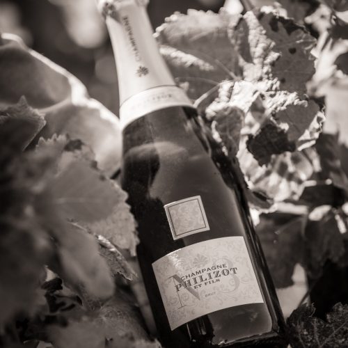 Champagne Philizot et Fils
